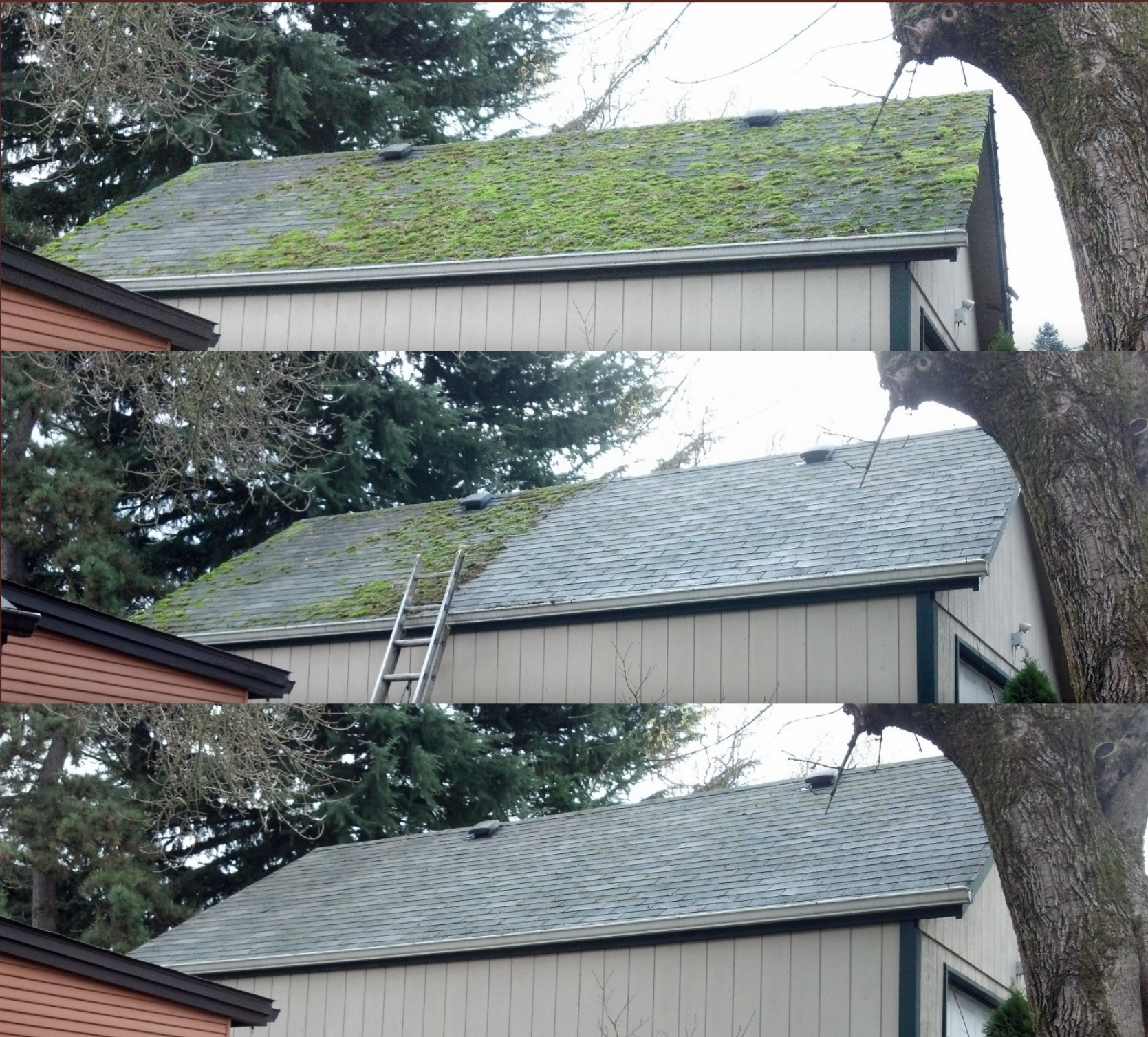 Bellevue Roof Moss Removal