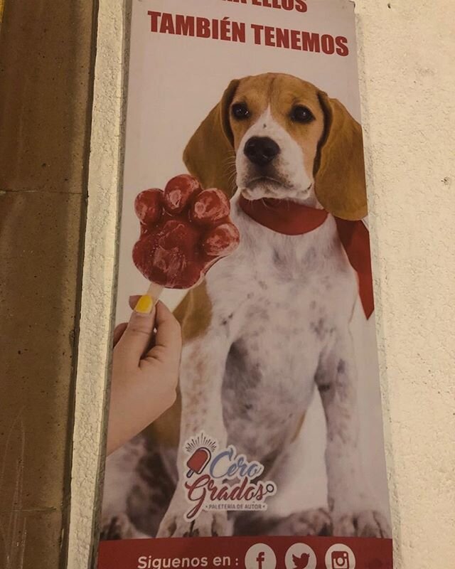 Consumerism gone mad; paw shaped ice cream lolly for pets #Mexico #Queretaro #advertising