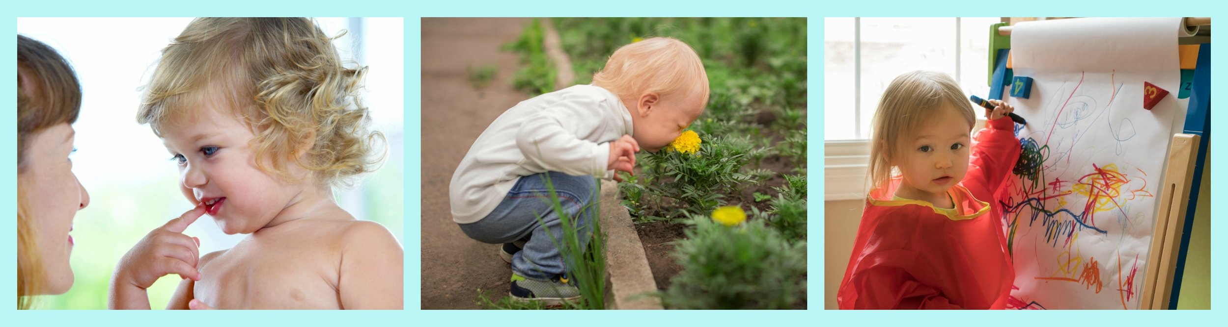 Teach+Your+Toddler+-+Toddler+Development+Course.jpeg