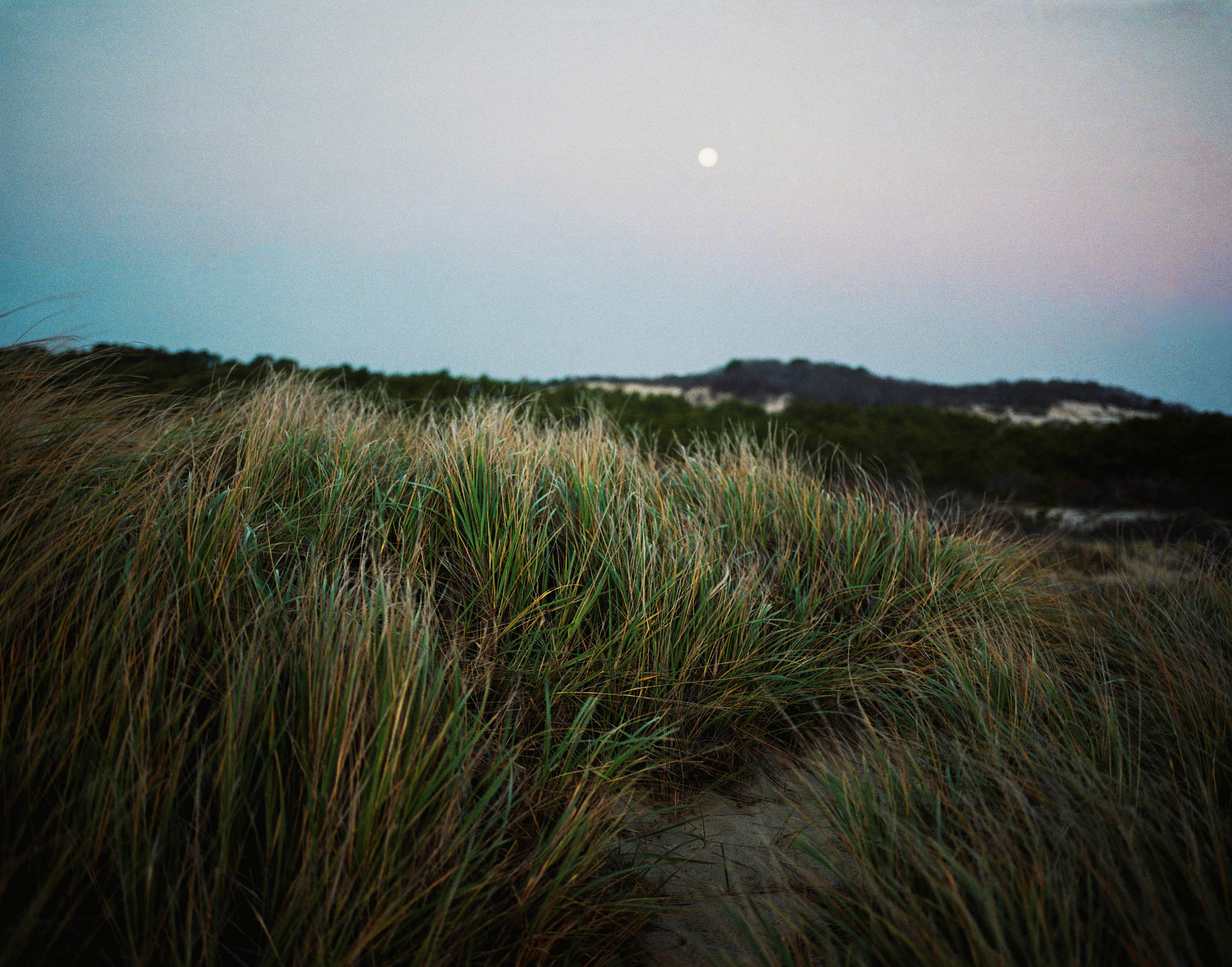 i-Moonrise on the Dunes.jpg