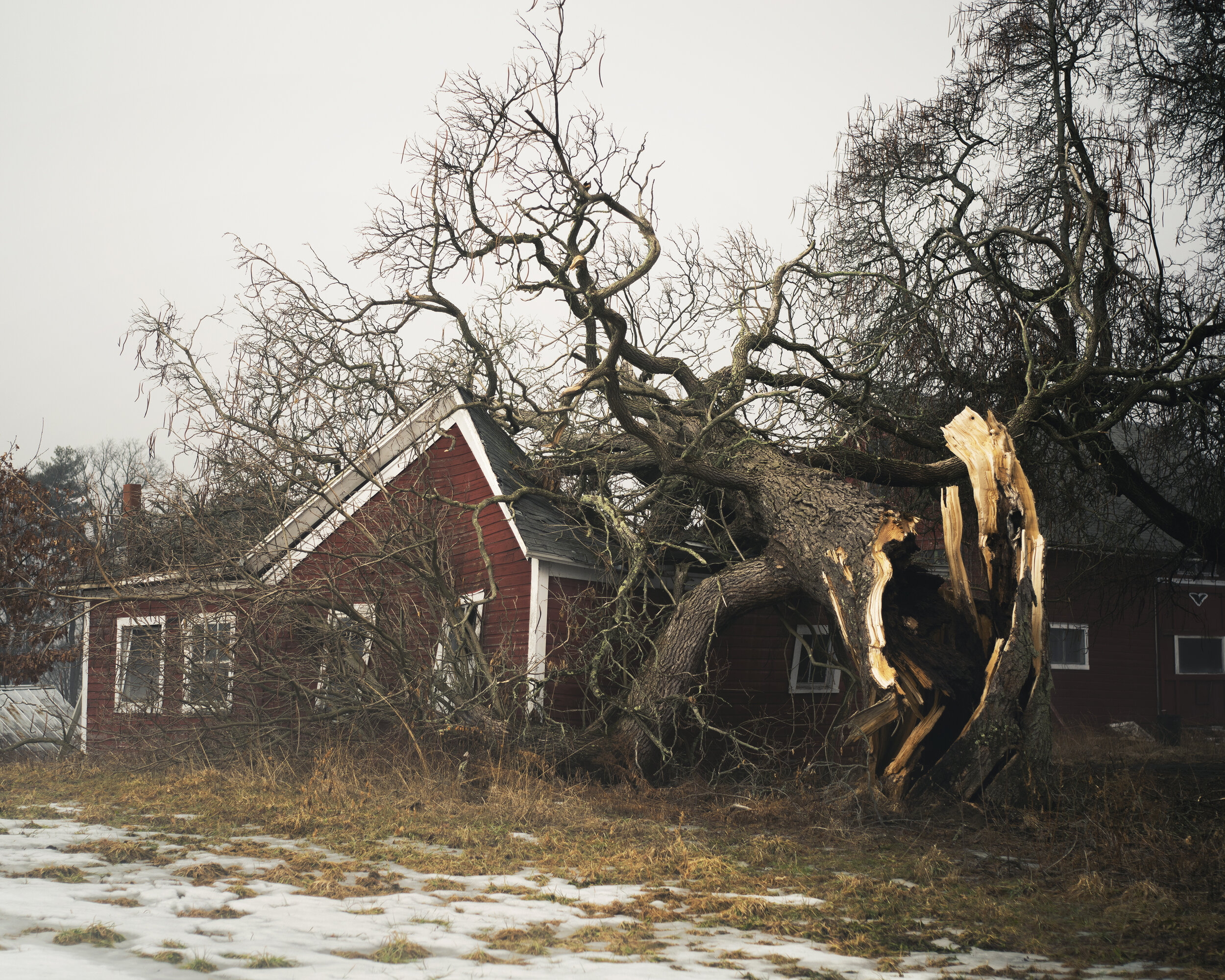 New fallen tree crushed barn-master-Recovered.jpg