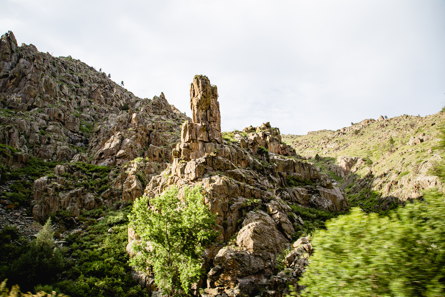 IMG_7005copy.jpg