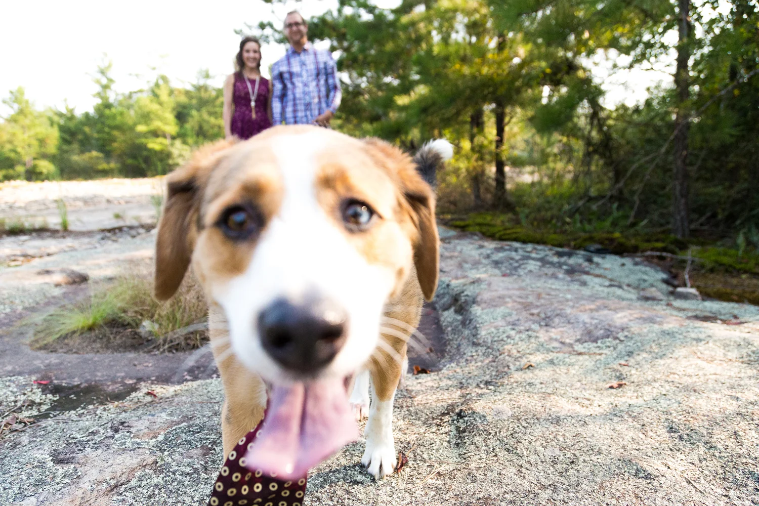 Laseter Family | Alaska Wedding, Lifestyle and Portrait Photographer