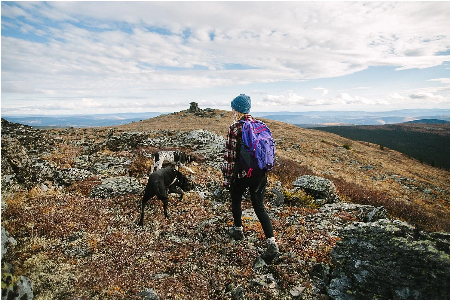 [Wo]man's Best Friend