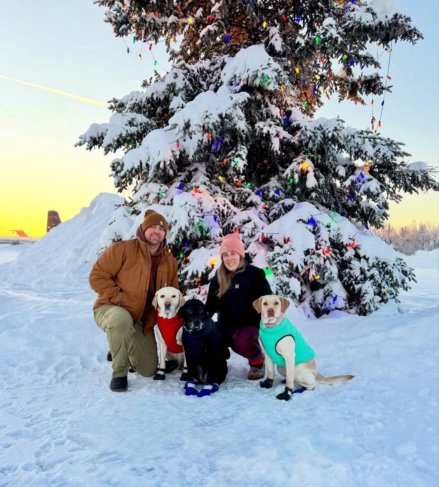 These are a few of my wintery things. 🎄