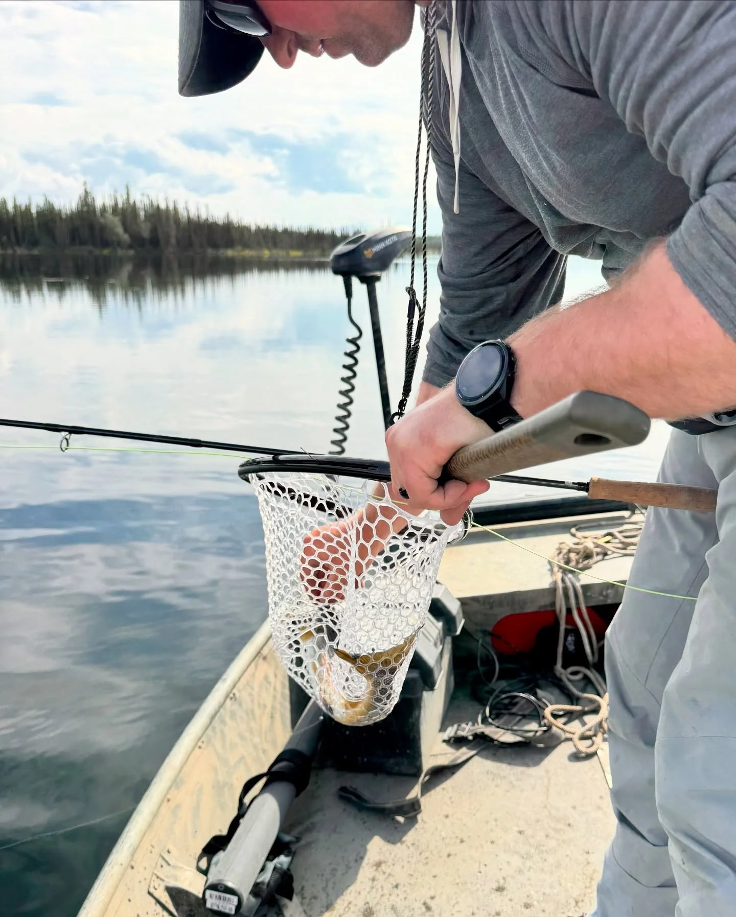 Introducing the pups to their new favorite hobby. 🎣
.
.
.
.
#dogsofalaska #fishinglab #alaskagrayling #graylingfishing #boatdogs