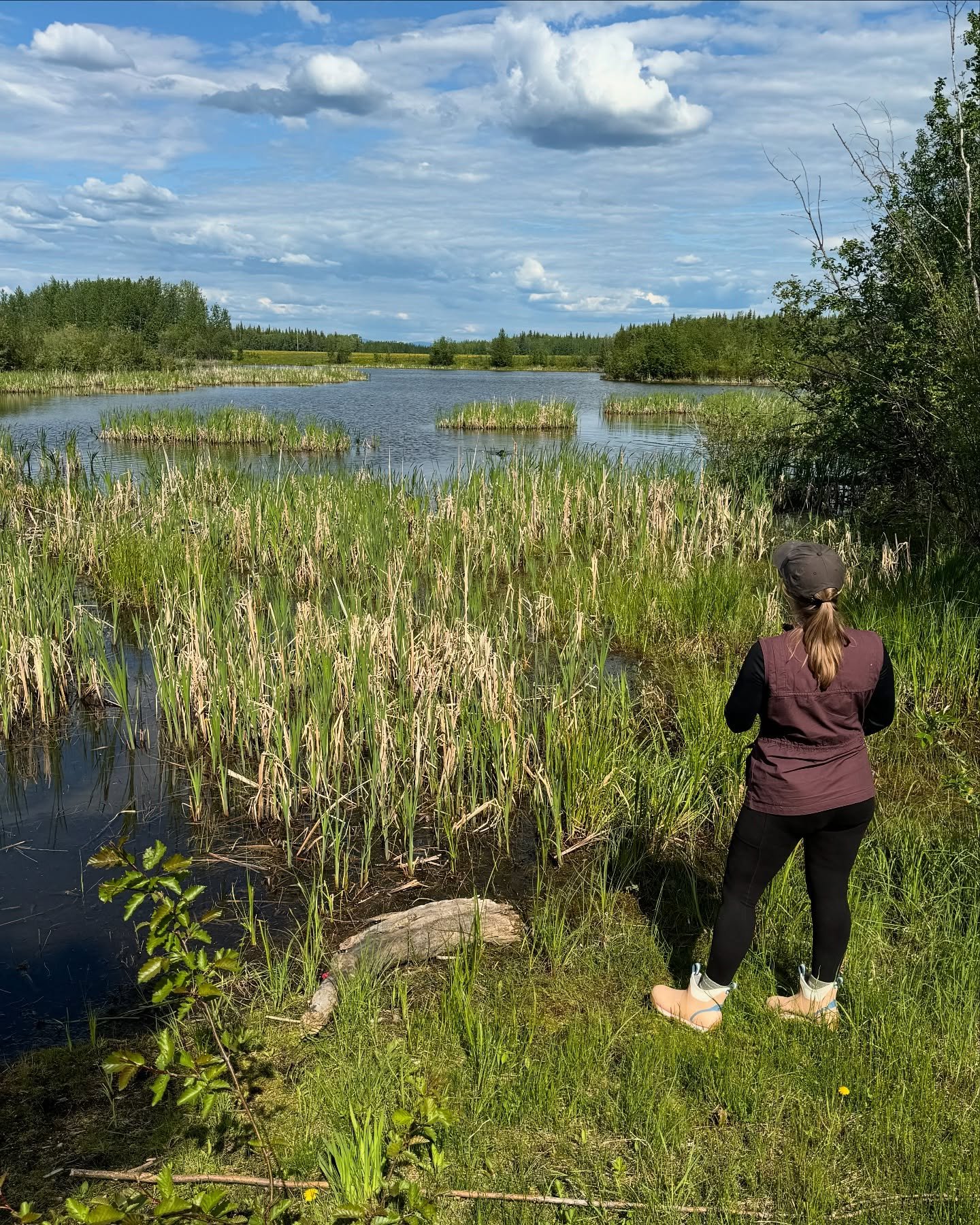 June so far...

#alaskasummer #alaskaliving