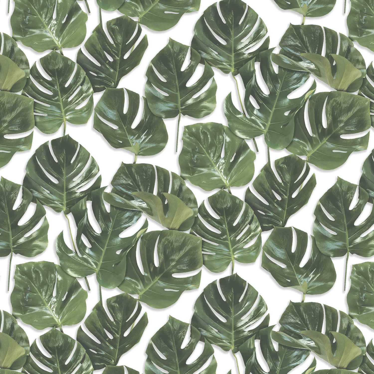 Monstera in Green/White by Woodchip & Magnolia