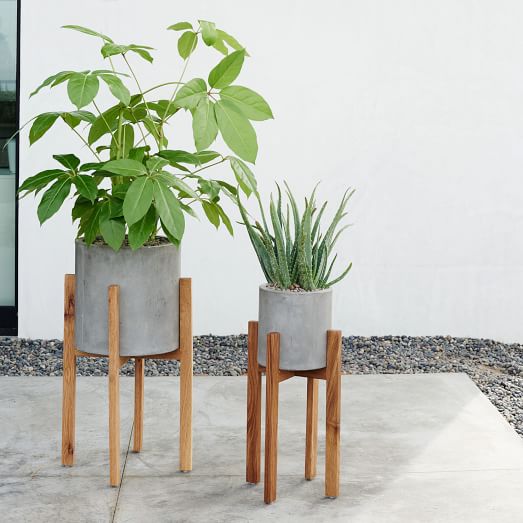 West Elm Modern Wood Leg Cement Planter