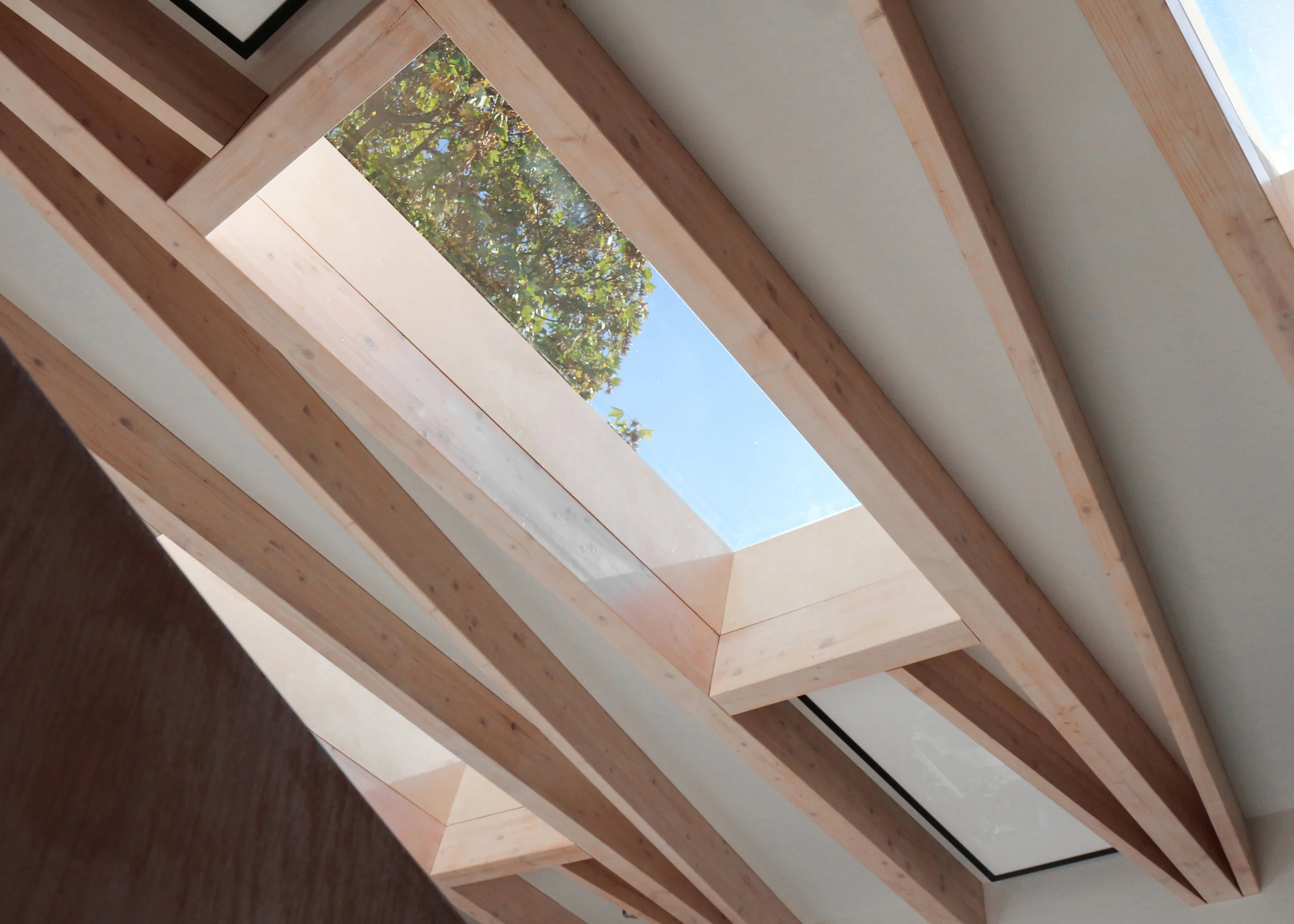 Ceiling.jpg