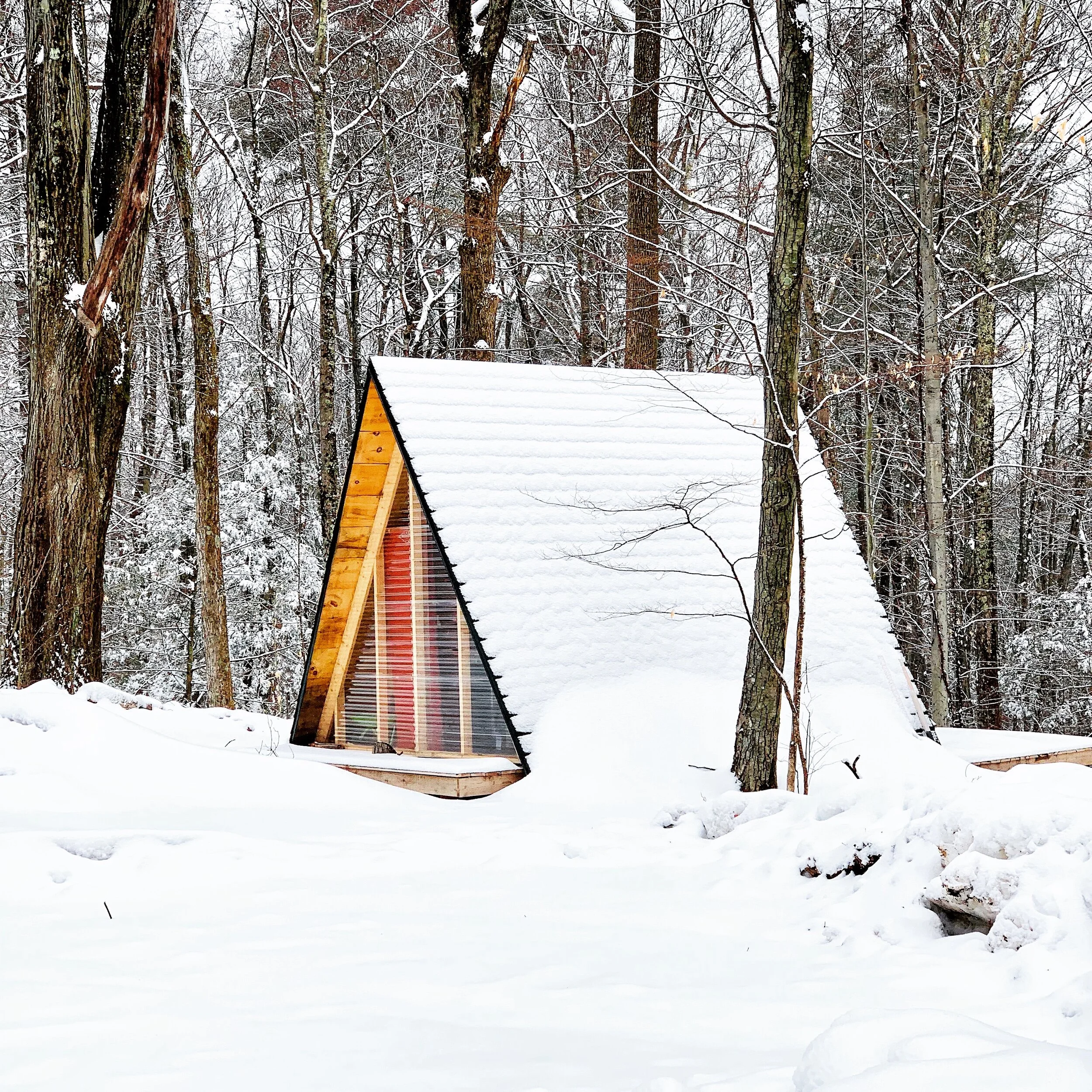 SHELTER