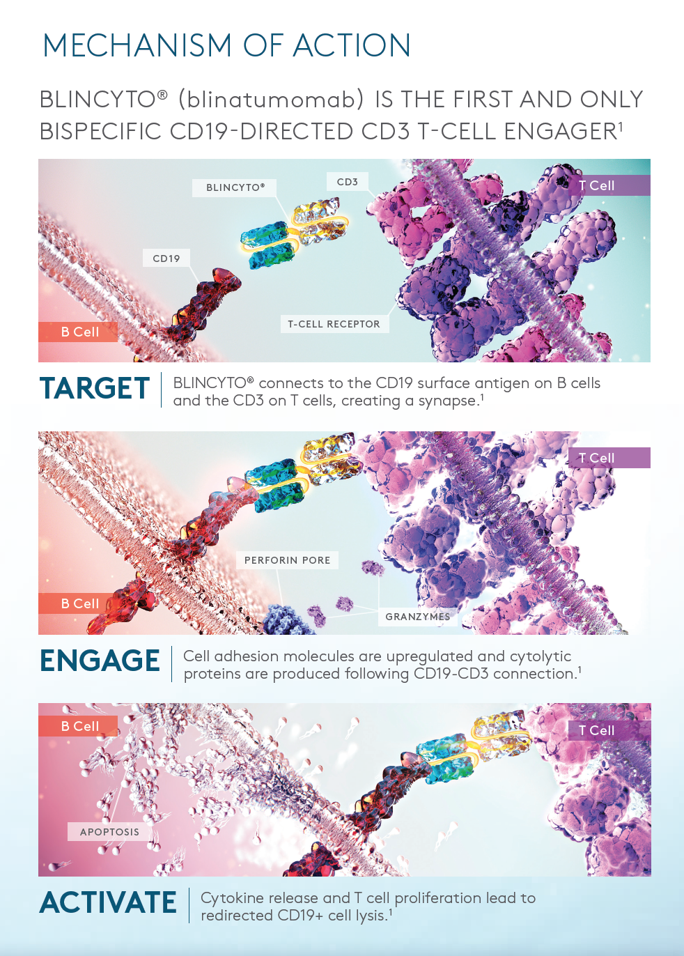 Screen Shot 2016-11-01 at 5.59.53 PM.png