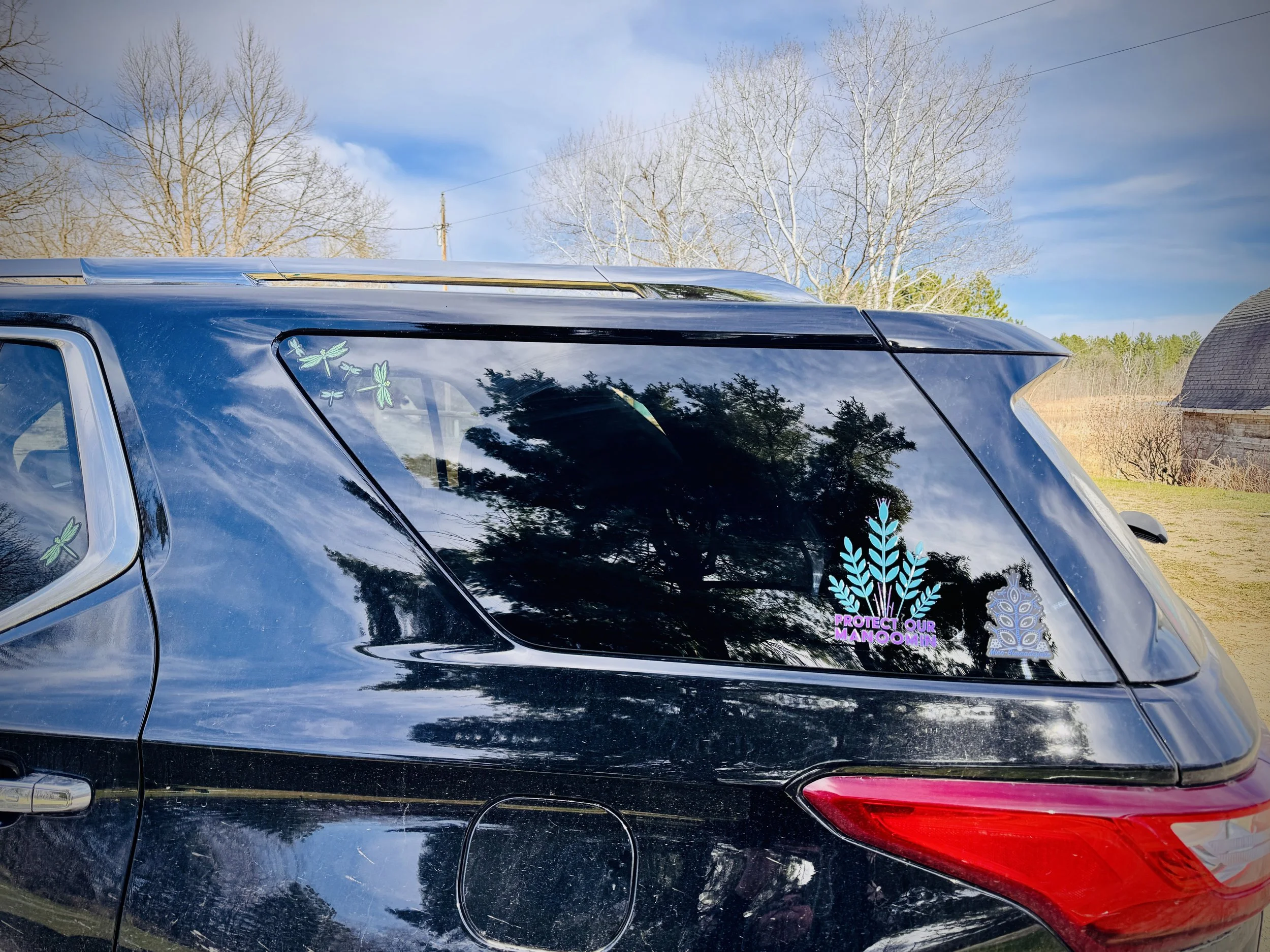 Protect Our Manoomin Decal