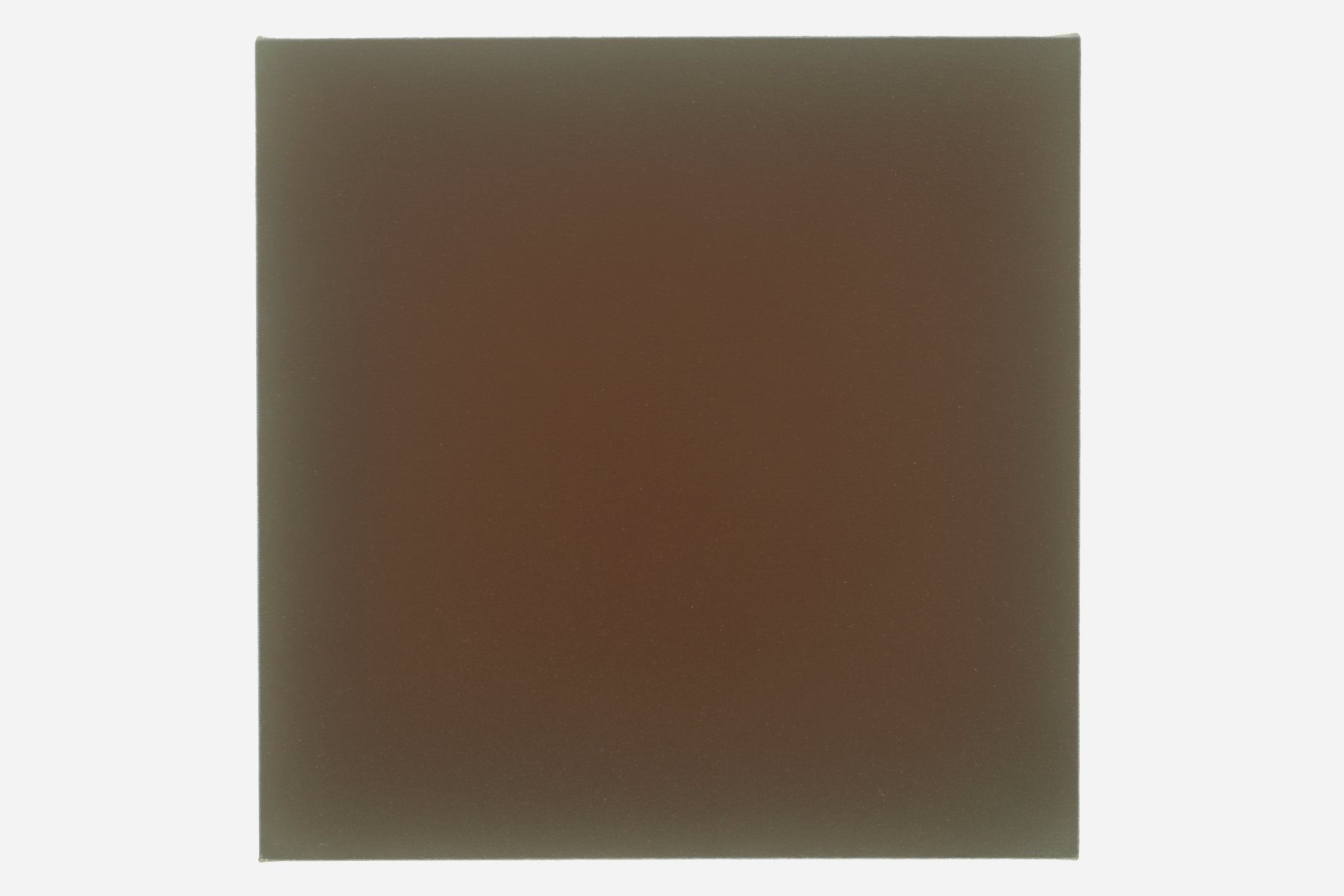 11.09.21, dark orangey brown on umber green, 20 inDSC_0098.jpg