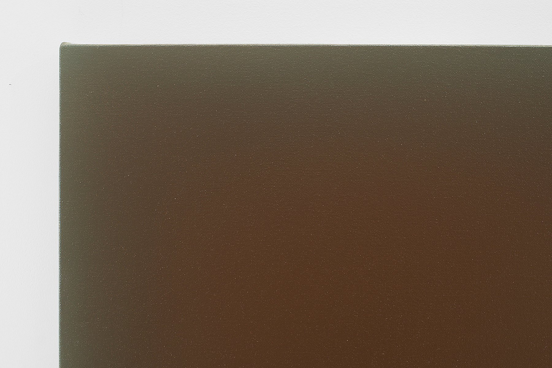11.09.21, dark orangey brown on umber green detail, 20 in. DSC_0061 copy.jpg
