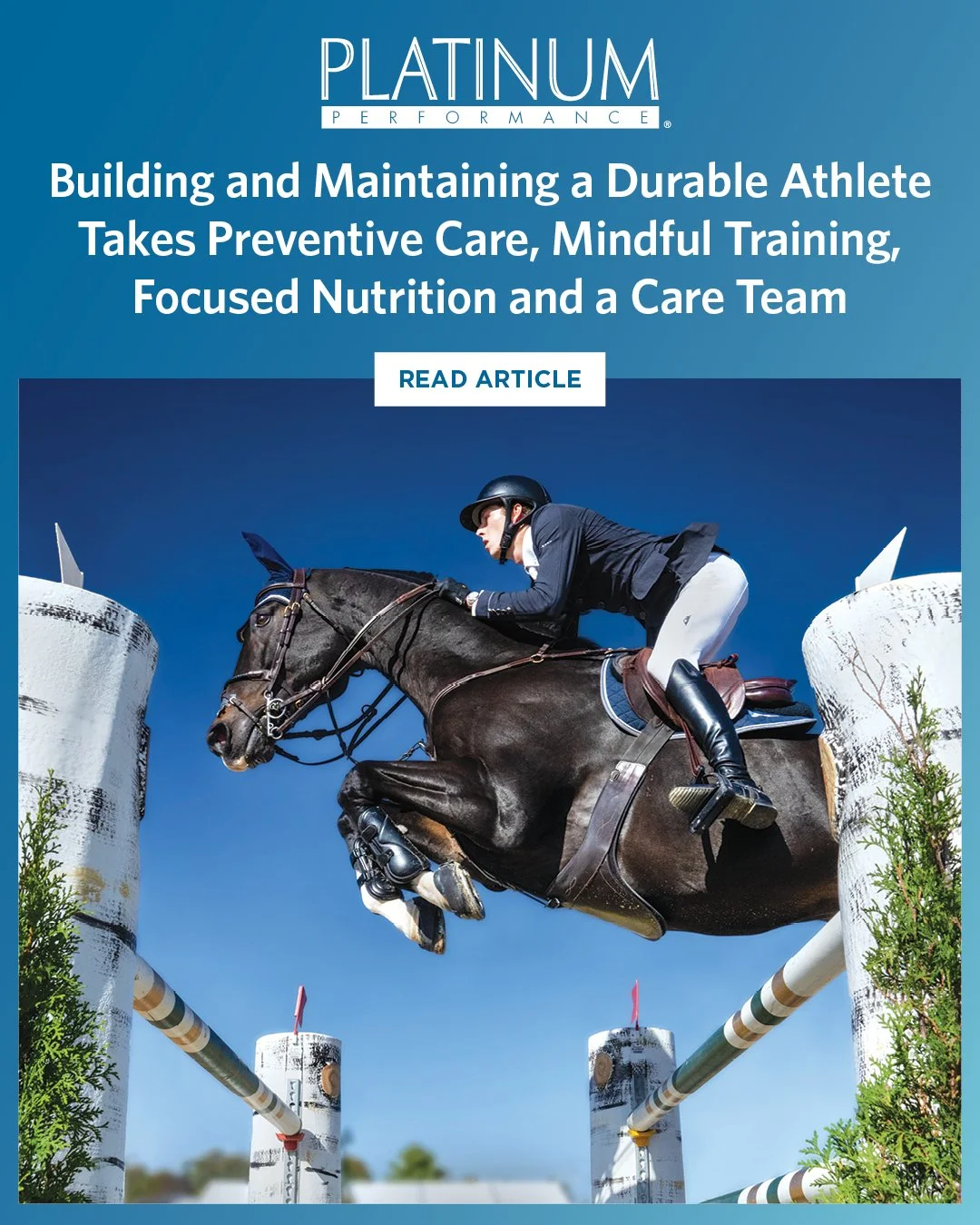 Building and Maintaining a Durable Athlete - Platinum Performance educational article about supporting long-term health, soundness, and athletic performance in horses.