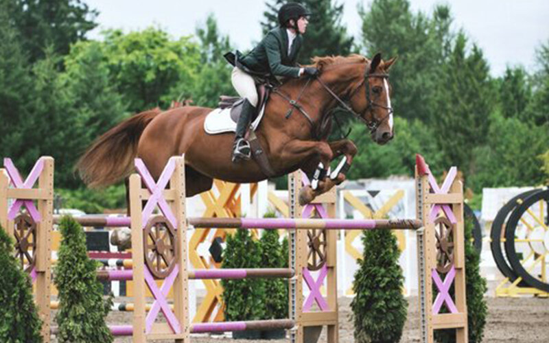 Oregon-Equine-01-show-jumping-warmblood-sporthorse.jpg