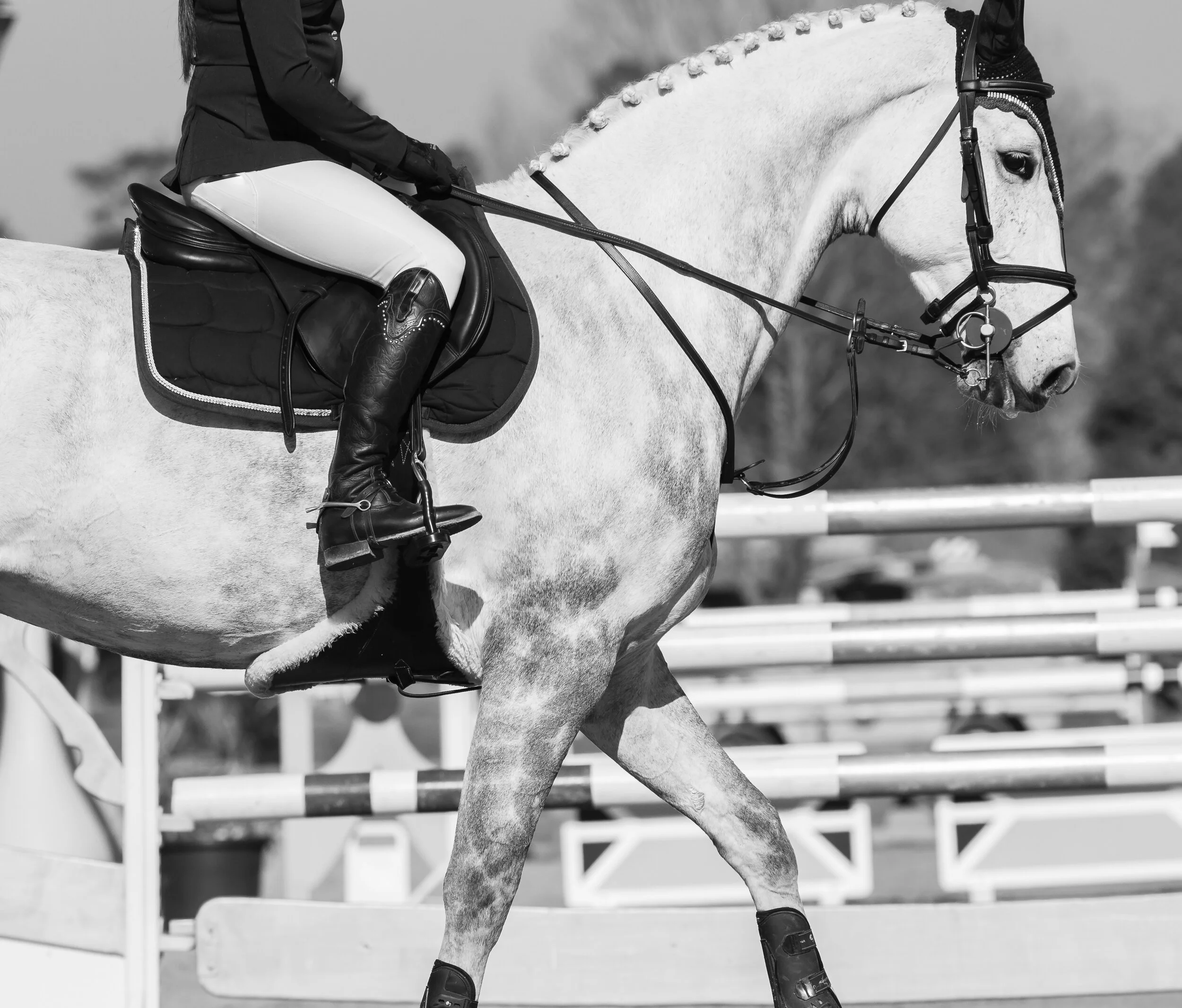 Returning Your Horse to Work