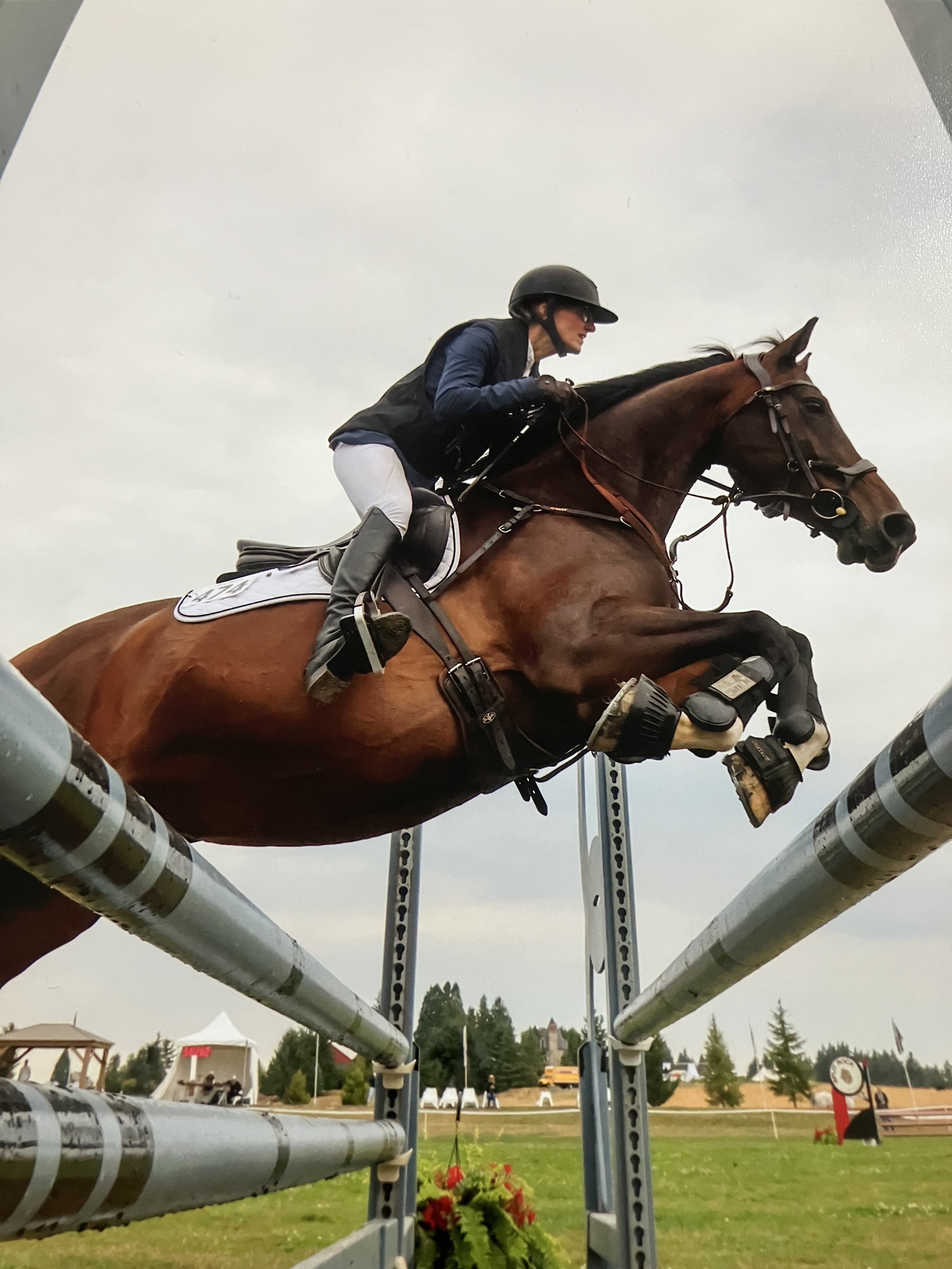  Take your horse to   THE NEXT LEVEL    Book an appointment now  