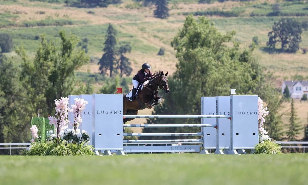  Take your horse to   THE NEXT LEVEL    Book an appointment now  