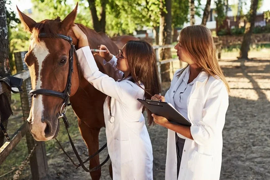 Be Prepared for an Equine Health Emergency