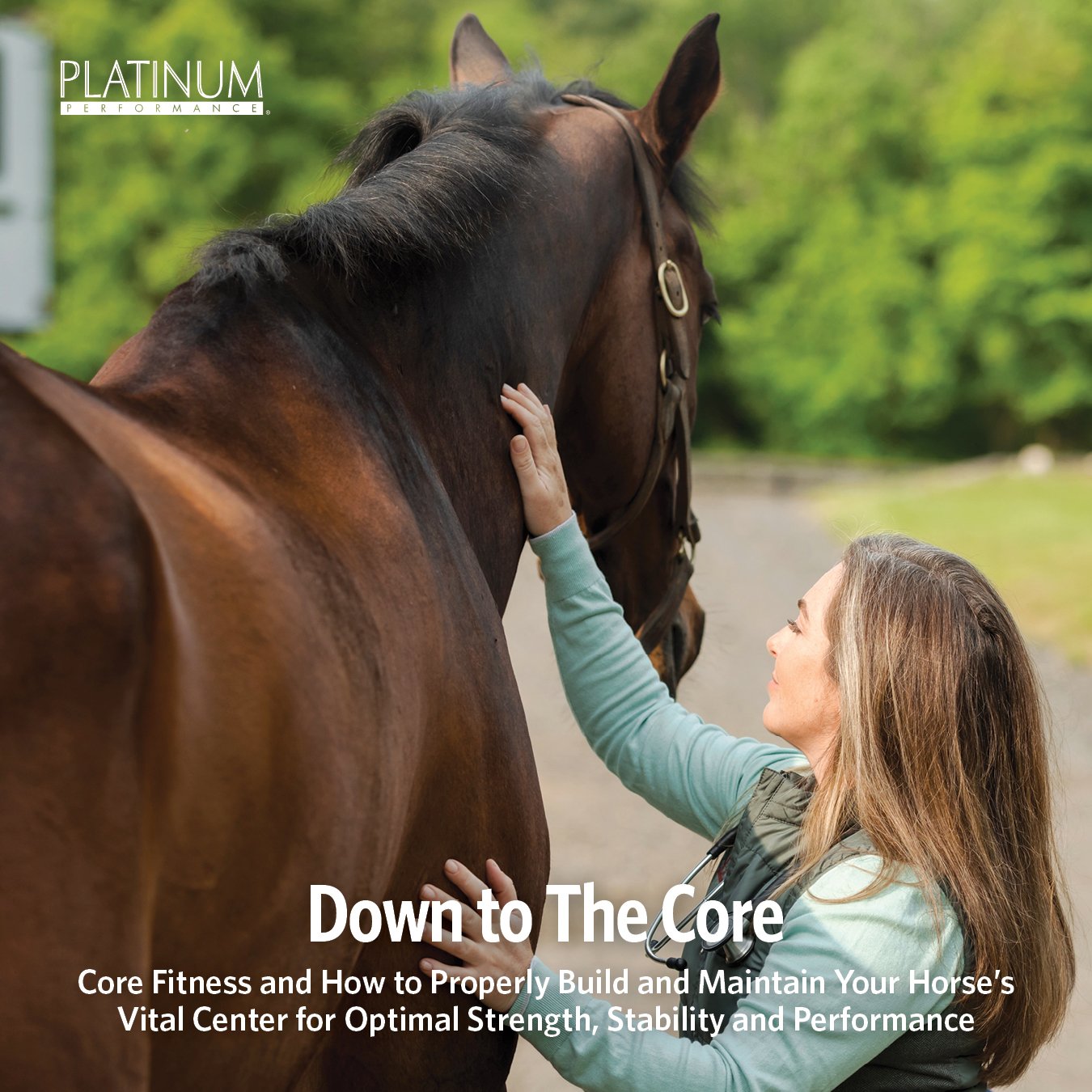 Down to the Core - Platinum Performance educational article about core fitness in horses.