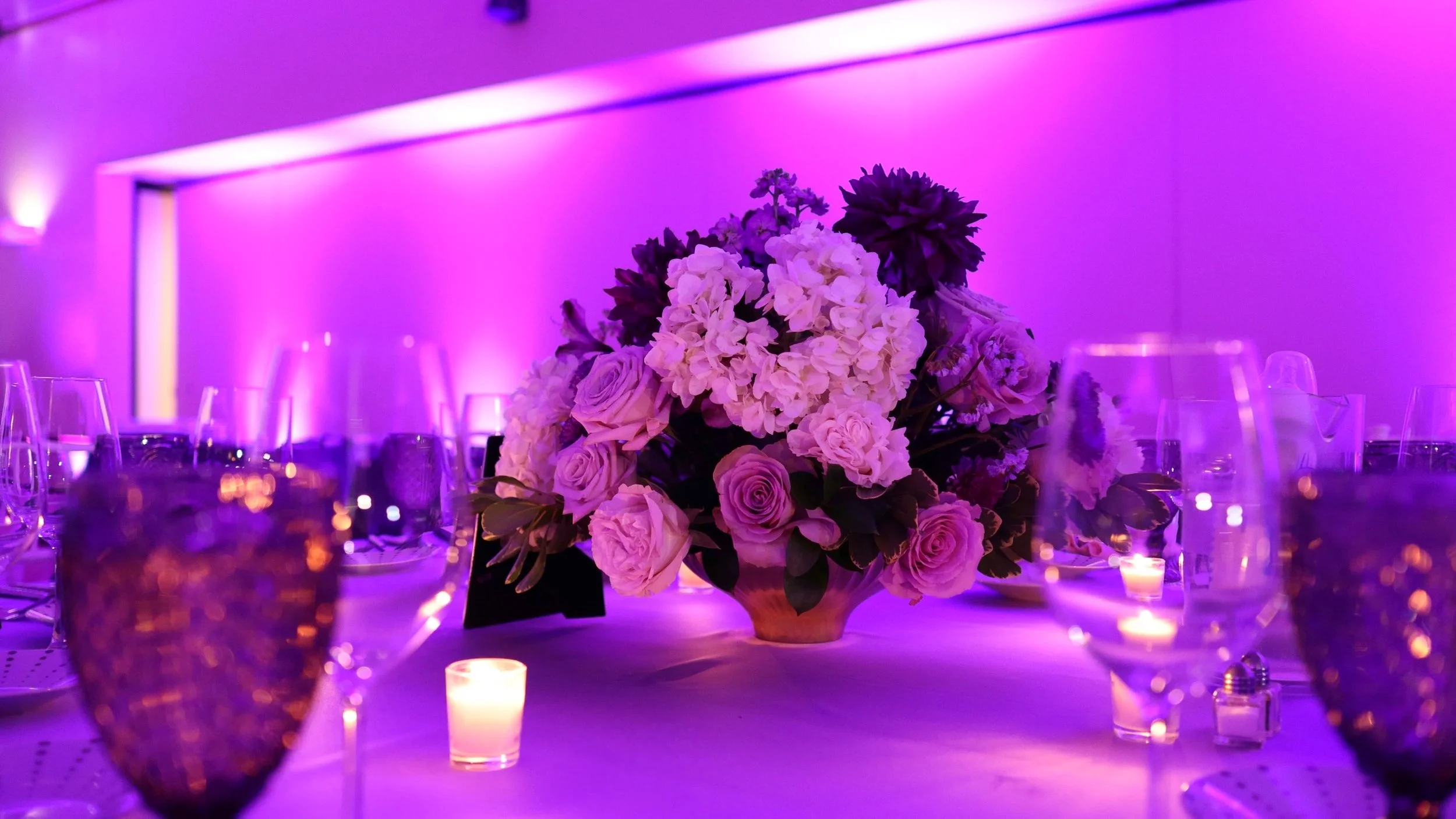 Still 2026-01-05 190241_1.3.1.jpg