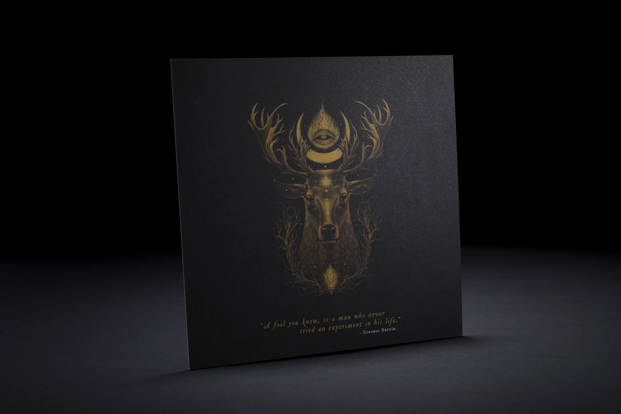 The Lunartick Society - Moonlight Limited Edition