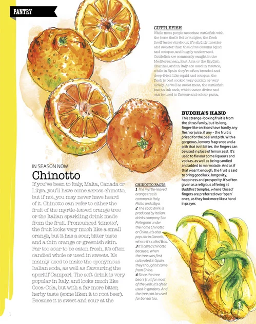 Illustrations for 'Pantry Feature', issue 36 February 2013