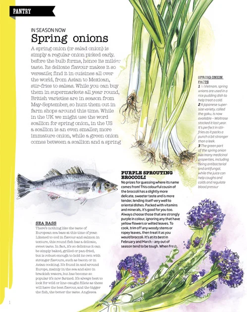 Illustrations for 'Pantry Feature', issue 37 March 2013