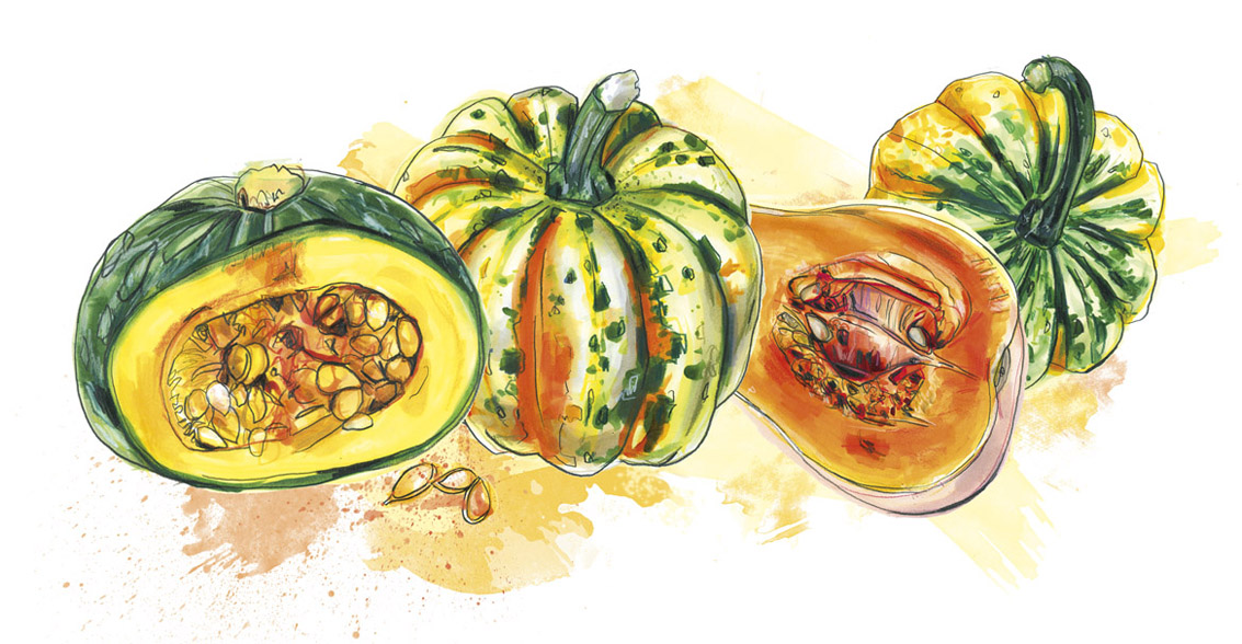 In Season feature illustration, issue 52 September/October 2014