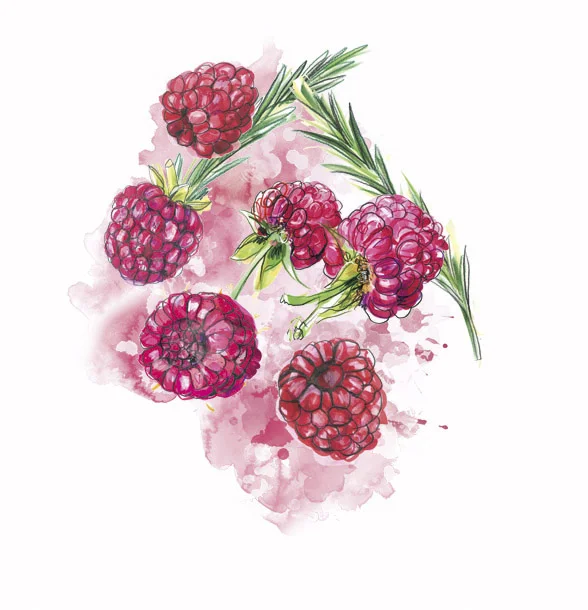 Raspberries, September 2016