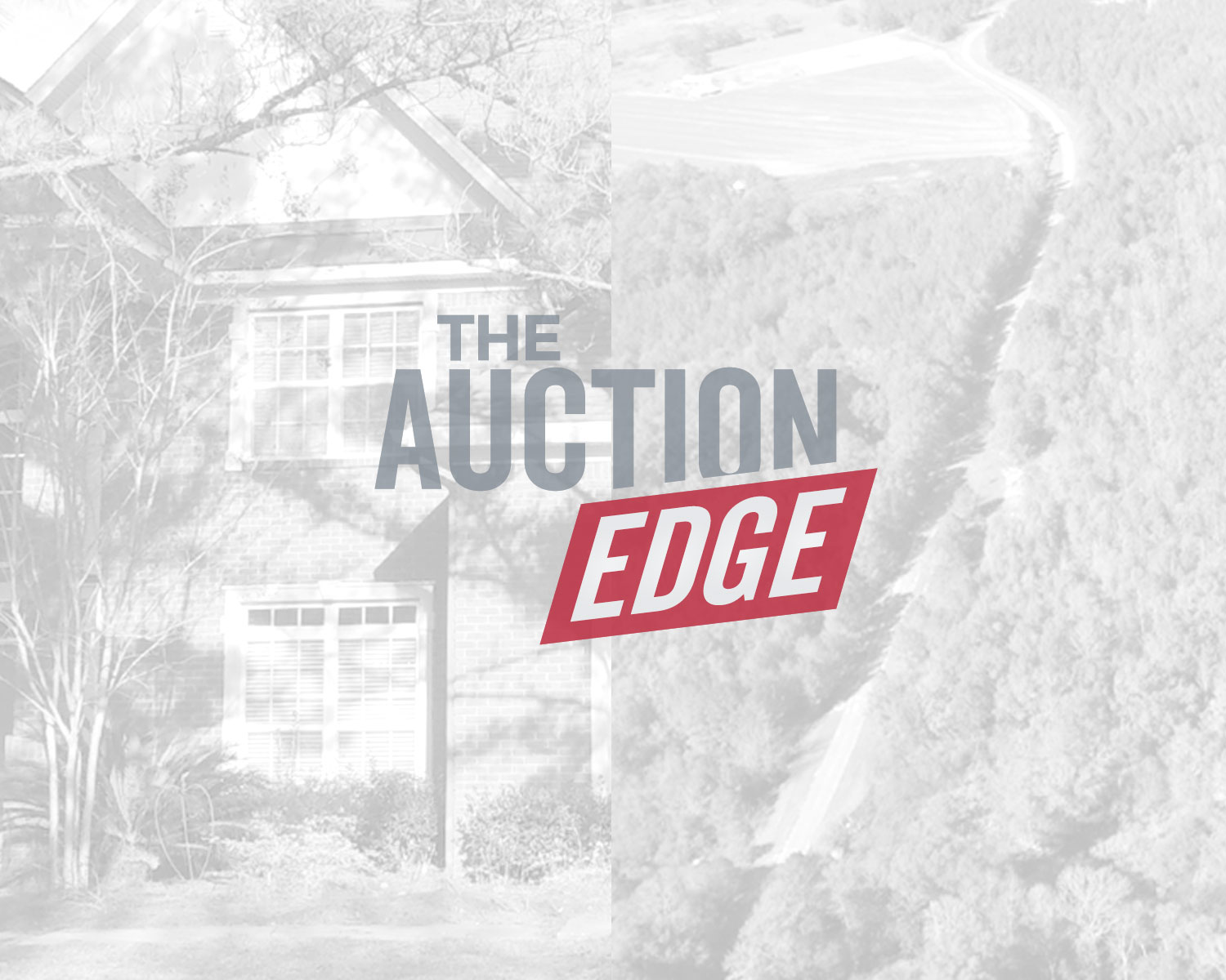 auction-edge-image-block2.jpg
