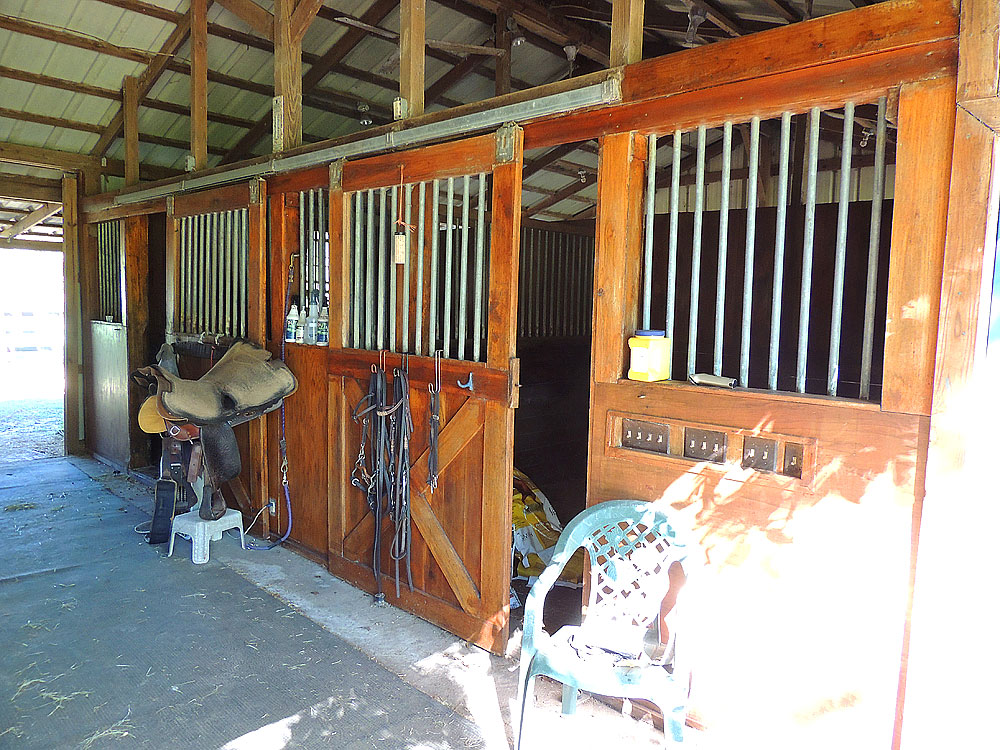 DSCN1427.jpg