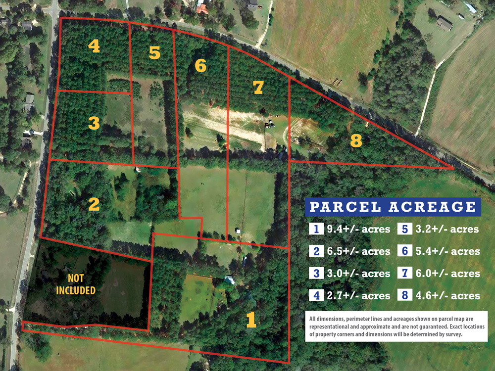 aerial-2.jpg