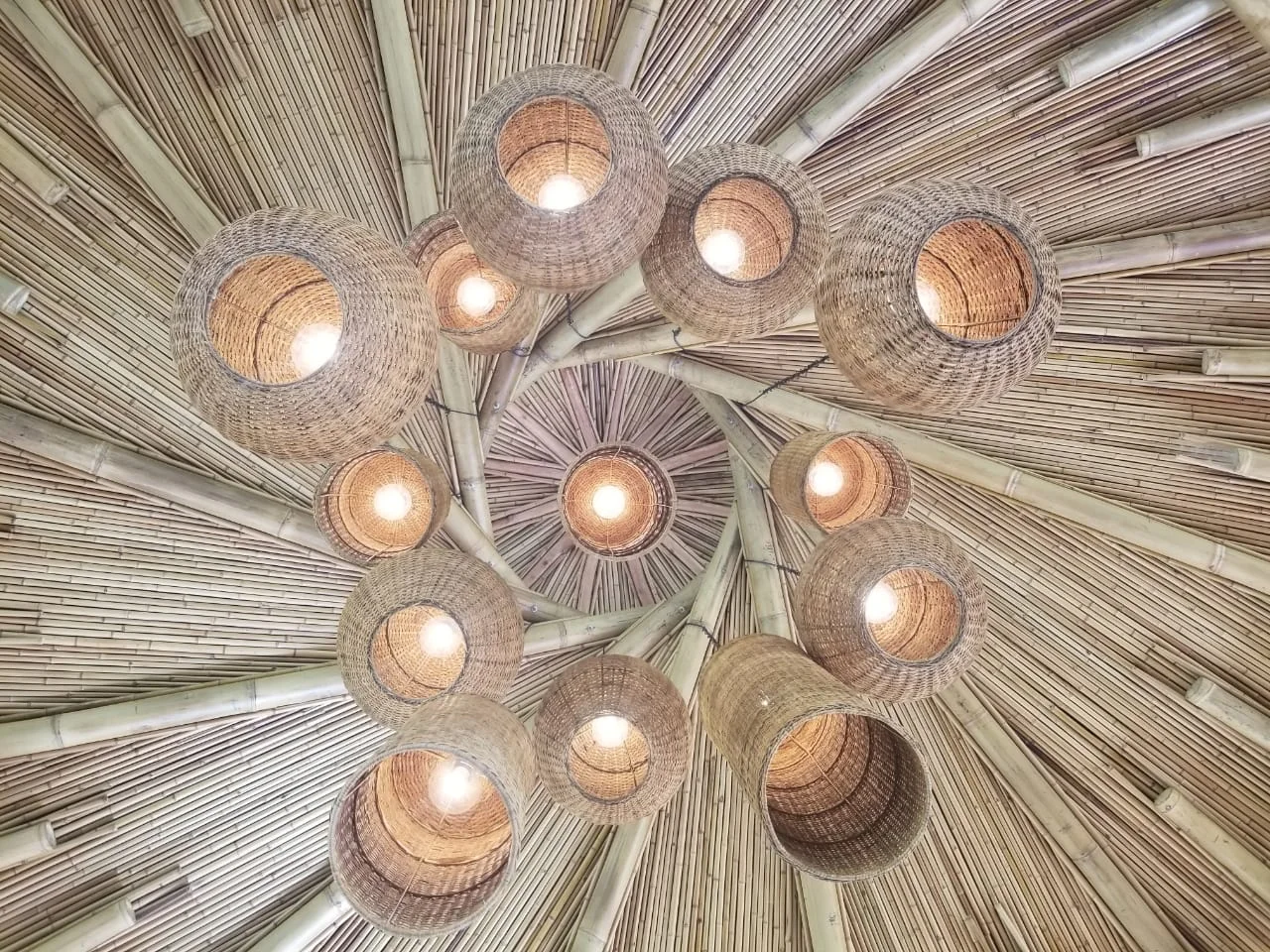 WhatsApp Image 2018-08-29 at 10.57.45 AM(2).jpeg