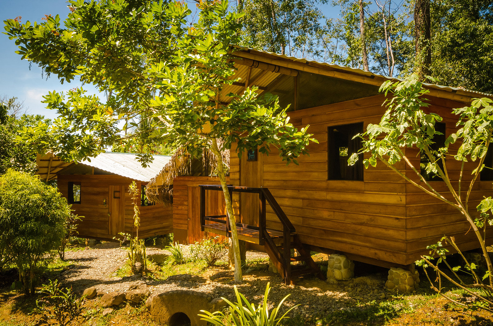 Selva cabins good.jpg