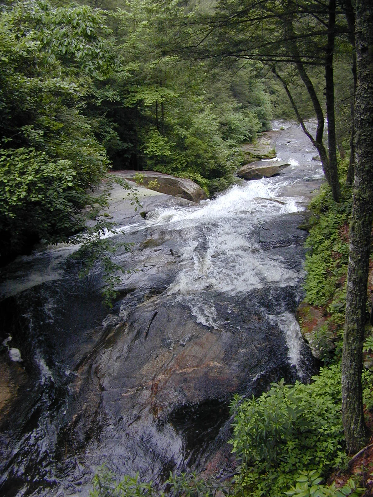 Chattooga River