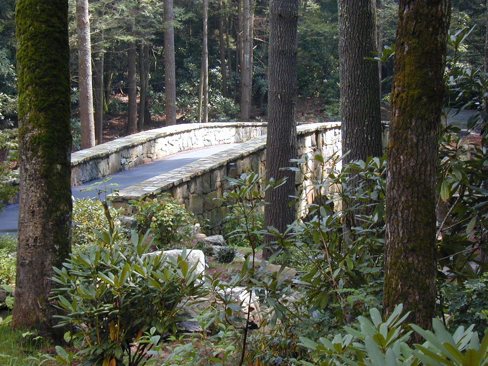 Bridge21.jpg