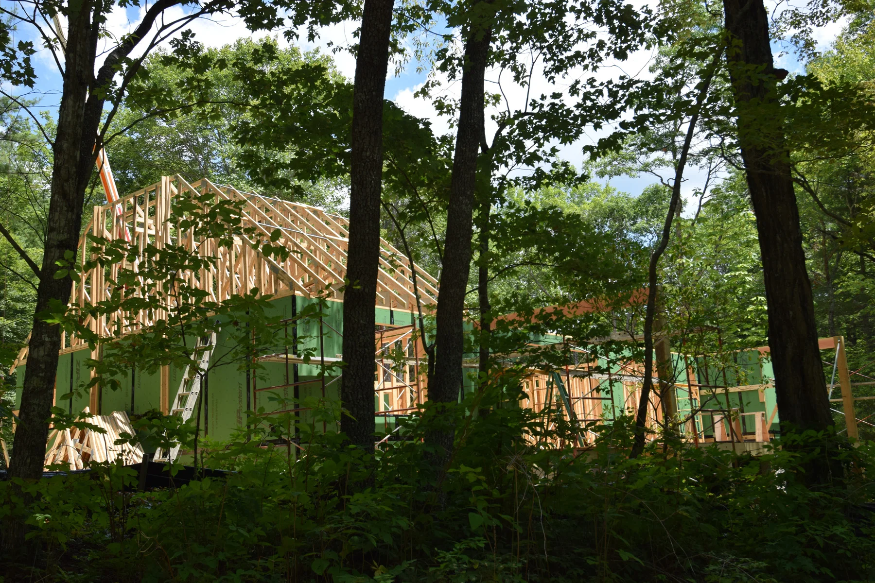 Rafters are being raised and secured in place.
