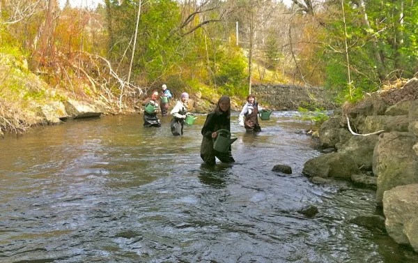 gwi-fish-release.jpg