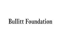 Bullitt fdn.jpg