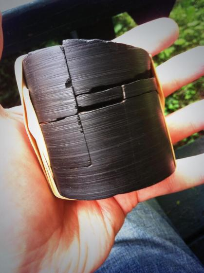 Marcellus Shale Sample. USGS hydrogeologist Bill Kappel: “What you’re holding was a swamp before Earth even had dinosaurs.” (Photo courtesy David Unger. )