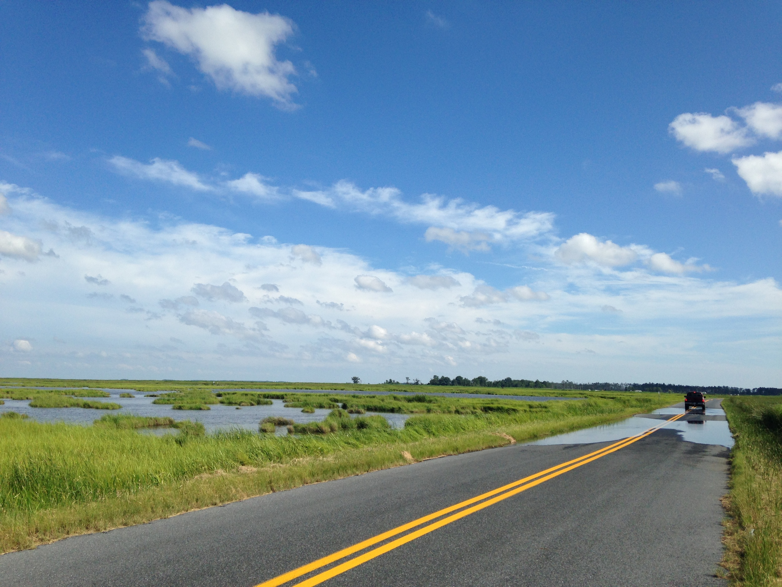 Thanks to rising seas, places like the Blackwater National Wildlife Refuge are quickly losing ground and water frequently covers roads like this one even in calm weather.