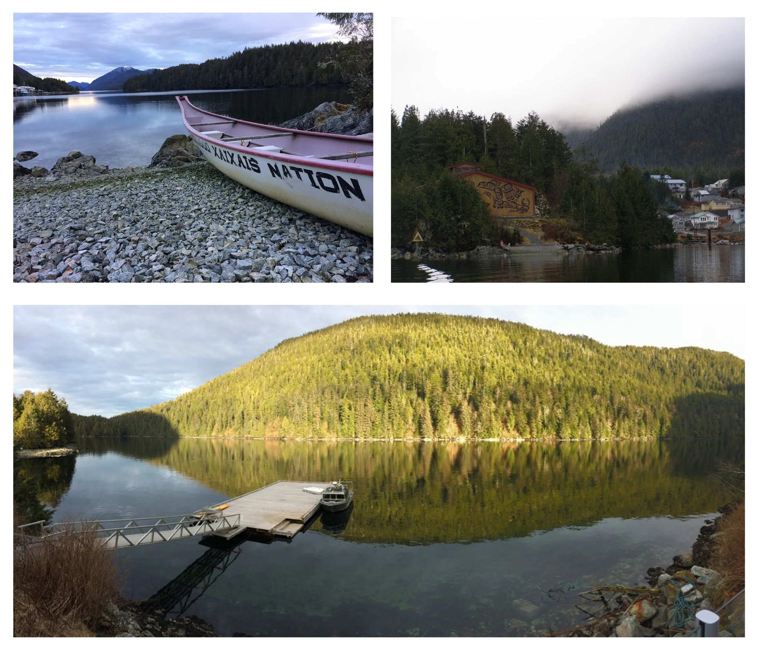 Great Bear Institute 