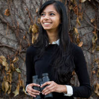 Shweta Karikehalli
