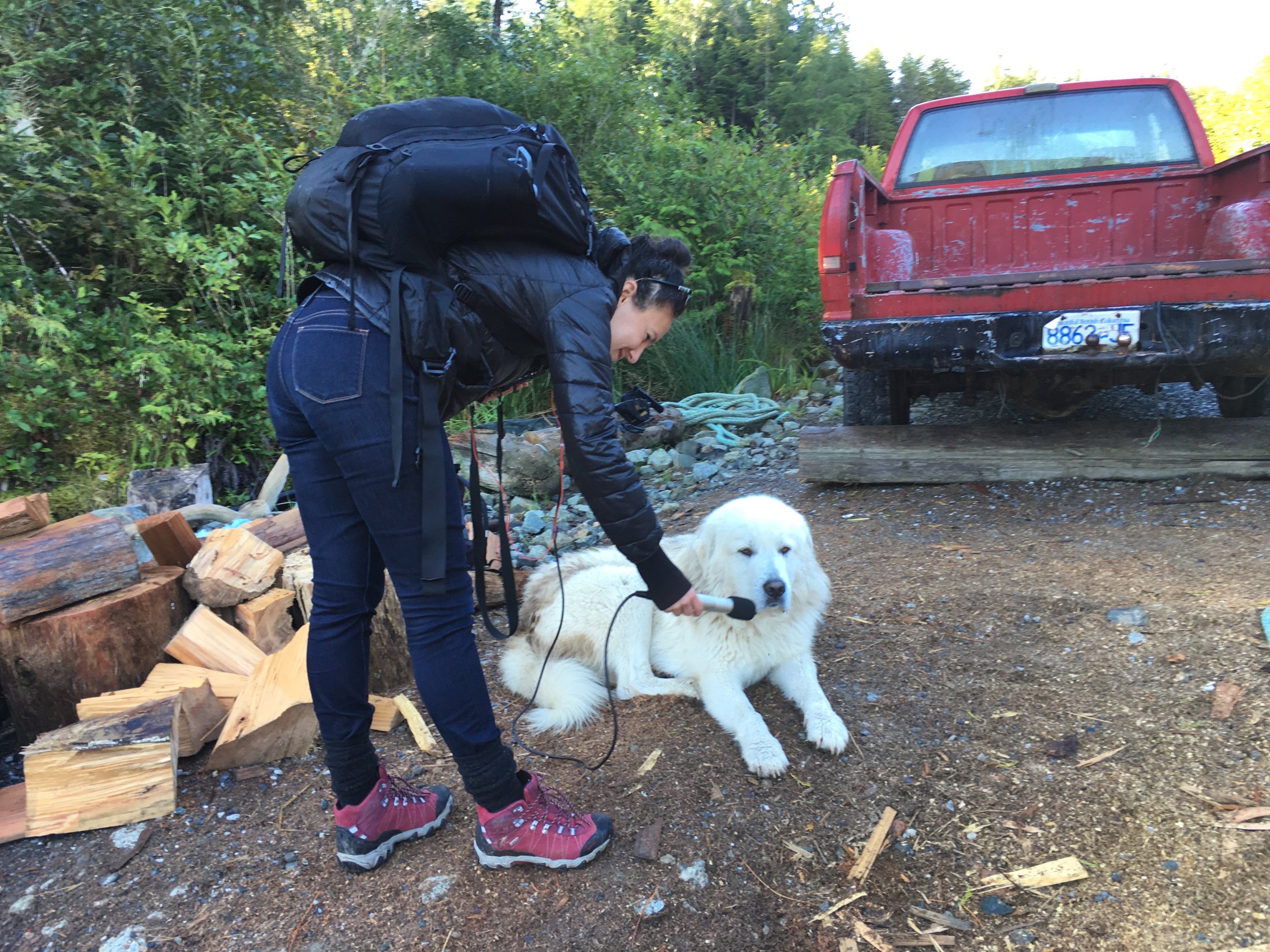 Field Reporting Award Application Period