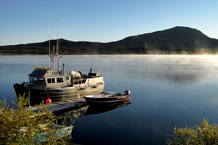Bristol Bay Institute