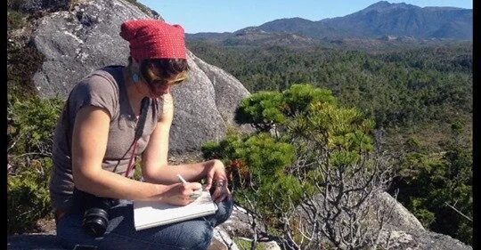 Reporting Award Application Period