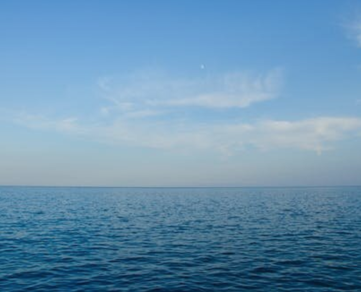 Workshop: Ocean + Climate (2020)